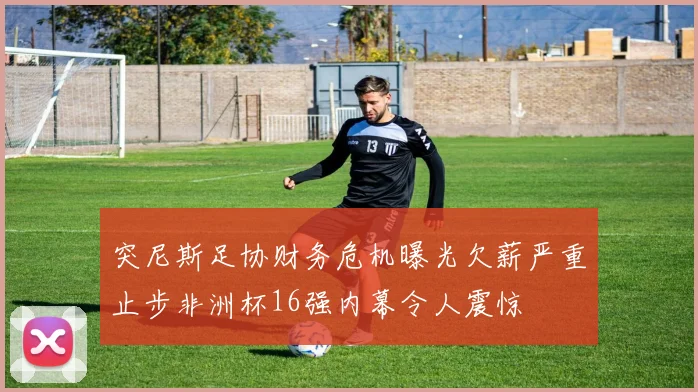 突尼斯足协财务危机曝光欠薪严重止步非洲杯16强内幕令人震惊